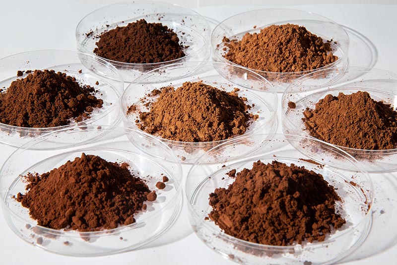 Cocoa Powder