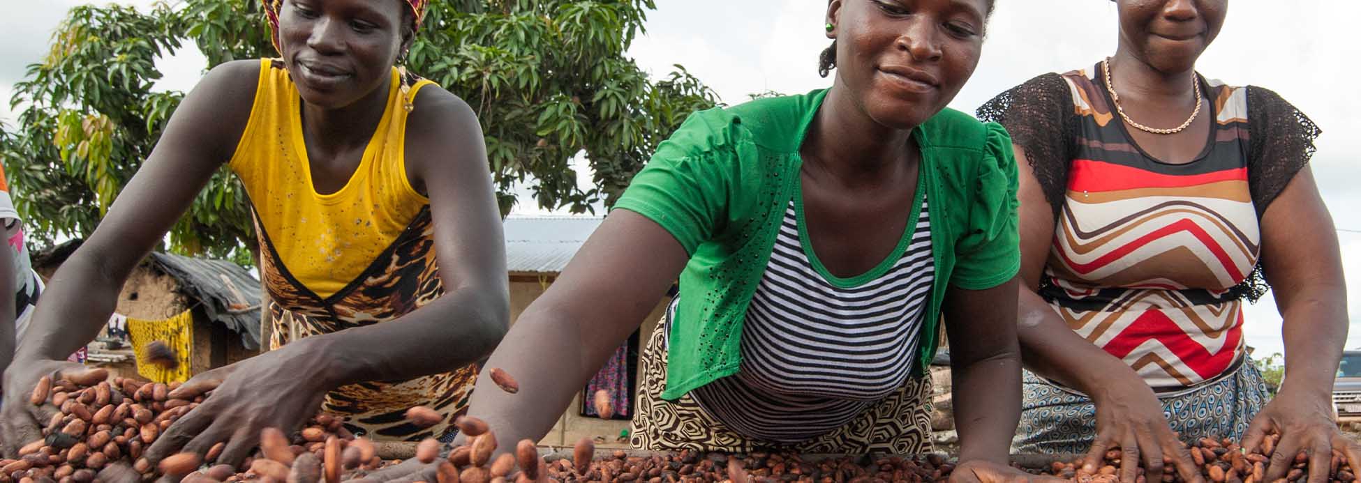 Responsibly farmed cocoa